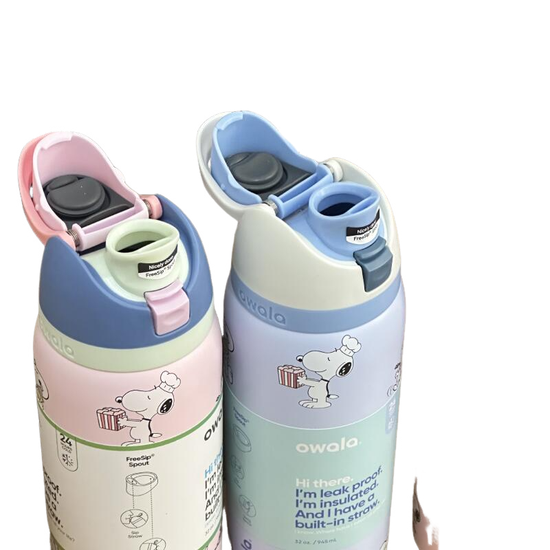 Snoopy Insulated Water Bottle  - Portable Travel Kettle recensie en prijs