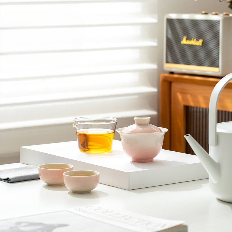 Plant Ash Glaze Gradient Trave - Portable Travel Kettle recensie en prijs
